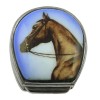 Sterling Silver Horse Picture Pill Box