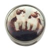 Sterling Silver Kitten Picture Pill Box