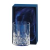 Crystal Whisky Rummer